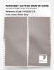 Product image 2 of the product “PANTONE® COTTON SWATCH CARD 14-0000 TCX Silver Gray ”