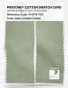 Product image 2 of the product “PANTONE® COTTON SWATCH CARD 14-0114 TCX Celadon Green ”