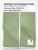 Product image 2 of the product “PANTONE® COTTON SWATCH CARD 14-0115 TCX Foam Green ”