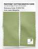 Product image 2 of the product “PANTONE® COTTON SWATCH CARD 14-0116 TCX Margarita ”
