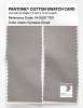 Artikelbild 2 des Artikels “PANTONE® COTTON SWATCH CARD 14-0207 TCX Cumulus Cloud “