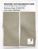 Product image 2 of the product “PANTONE® COTTON SWATCH CARD 14-0210 TCX Tidal Foam ”