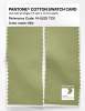 Product image 2 of the product “PANTONE® COTTON SWATCH CARD 14-0223 TCX Nile ”