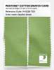 Product image 2 of the product “PANTONE® COTTON SWATCH CARD 14-0226 TCX Opaline Green ”