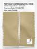 Product image 2 of the product “PANTONE® COTTON SWATCH CARD 14-0925 TCX Parsnip ”