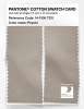 Product image 2 of the product “PANTONE® COTTON SWATCH CARD 14-1106 TCX Peyote ”