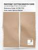 Product image 2 of the product “PANTONE® COTTON SWATCH CARD 14-1120 TCX Apricot Illusion ”