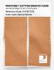 Artikelbild 2 des Artikels “PANTONE® COTTON SWATCH CARD 14-1133 TCX Apricot Nectar “