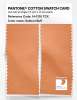 Product image 2 of the product “PANTONE® COTTON SWATCH CARD 14-1135 TCX Salmon Buff ”