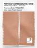 Artikelbild 2 des Artikels “PANTONE® COTTON SWATCH CARD 14-1220 TCX Peach Nougat “