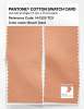 Artikelbild 2 des Artikels “PANTONE® COTTON SWATCH CARD 14-1225 TCX Beach Sand “
