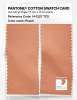 Artikelbild 2 des Artikels “PANTONE® COTTON SWATCH CARD 14-1227 TCX Peach “