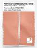 Product image 2 of the product “PANTONE® COTTON SWATCH CARD 14-1228 TCX Peach Nectar ”