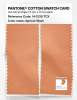 Artikelbild 2 des Artikels “PANTONE® COTTON SWATCH CARD 14-1230 TCX Apricot Wash “