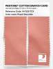 Artikelbild 2 des Artikels “PANTONE® COTTON SWATCH CARD 14-1320 TCX Peach Smoothie “