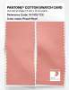 Product image 2 of the product “PANTONE® COTTON SWATCH CARD 14-1419 TCX Peach Pearl ”