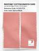 Artikelbild 2 des Artikels “PANTONE® COTTON SWATCH CARD 14-1420 TCX Apricot Blush “
