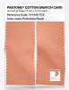 Artikelbild 2 des Artikels “PANTONE® COTTON SWATCH CARD 14-1440 TCX Perfection Peach “