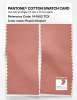 Product image 2 of the product “PANTONE® COTTON SWATCH CARD 14-1602 TCX Peach Infusion ”