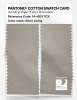 Product image 2 of the product “PANTONE® COTTON SWATCH CARD 14-4501 TCX Silver Lining ”