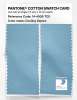 Artikelbild 2 des Artikels “PANTONE® COTTON SWATCH CARD 14-4509 TCX Cooling Vapors “