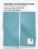 Product image 2 of the product “PANTONE® COTTON SWATCH CARD 14-4511 TCX Gulf Stream ”