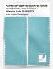 Artikelbild 2 des Artikels “PANTONE® COTTON SWATCH CARD 14-4618 TCX Waterspout “
