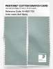 Product image 2 of the product “PANTONE® COTTON SWATCH CARD 14-4807 TCX Surf Spray ”