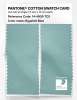Product image 2 of the product “PANTONE® COTTON SWATCH CARD 14-4809 TCX Eggshell Blue ”