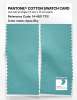 Product image 2 of the product “PANTONE® COTTON SWATCH CARD 14-4811 TCX Aqua Sky ”