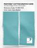 Product image 2 of the product “PANTONE® COTTON SWATCH CARD 14-4812 TCX Aqua Splash ”