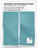 Artikelbild 2 des Artikels “PANTONE® COTTON SWATCH CARD 14-4815 TCX Leisure Time “