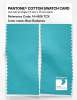 Product image 2 of the product “PANTONE® COTTON SWATCH CARD 14-4816 TCX Blue Radiance ”