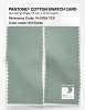 Product image 2 of the product “PANTONE® COTTON SWATCH CARD 14-5706 TCX Silt Green ”