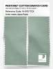 Artikelbild 2 des Artikels “PANTONE® COTTON SWATCH CARD 14-5707 TCX Aqua Foam “