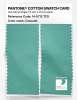Artikelbild 2 des Artikels “PANTONE® COTTON SWATCH CARD 14-5713 TCX Cascade “