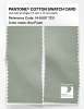 Product image 2 of the product “PANTONE® COTTON SWATCH CARD 14-6007 TCX Sea Foam ”