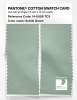 Product image 2 of the product “PANTONE® COTTON SWATCH CARD 14-6008 TCX Subtle Green ”