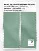 Product image 2 of the product “PANTONE® COTTON SWATCH CARD 14-6011 TCX Grayed Jade ”