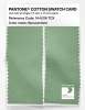 Product image 2 of the product “PANTONE® COTTON SWATCH CARD 14-6316 TCX Sprucestone ”