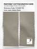Artikelbild 2 des Artikels “PANTONE® COTTON SWATCH CARD 14-6408 TCX Abbey Stone “