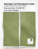 Product image 2 of the product “PANTONE® COTTON SWATCH CARD 15-0326 TCX Tarragon ”