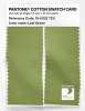 Artikelbild 2 des Artikels “PANTONE® COTTON SWATCH CARD 15-0332 TCX Leaf Green “