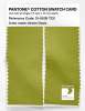 Product image 2 of the product “PANTONE® COTTON SWATCH CARD 15-0538 TCX Green Oasis ”