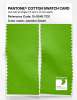 Artikelbild 2 des Artikels “PANTONE® COTTON SWATCH CARD 15-0545 TCX Jasmine Green “