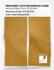 Product image 2 of the product “PANTONE® COTTON SWATCH CARD 15-1142 TCX Honey Gold ”