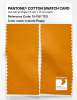 Artikelbild 2 des Artikels “PANTONE® COTTON SWATCH CARD 15-1151 TCX Iceland Poppy “