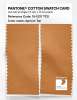 Product image 2 of the product “PANTONE® COTTON SWATCH CARD 15-1237 TCX Apricot Tan ”