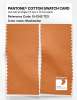 Product image 2 of the product “PANTONE® COTTON SWATCH CARD 15-1242 TCX Muskmelon ”