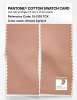 Product image 2 of the product “PANTONE® COTTON SWATCH CARD 15-1319 TCX Almost Apricot ”